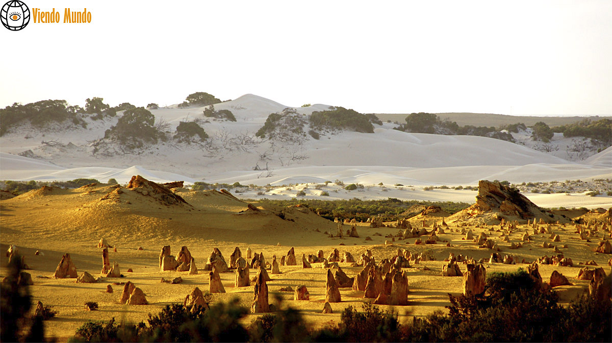 DESIERTOS DE AUSTRALIA. Los lugares más áridos del país visitados por ViendoMundo