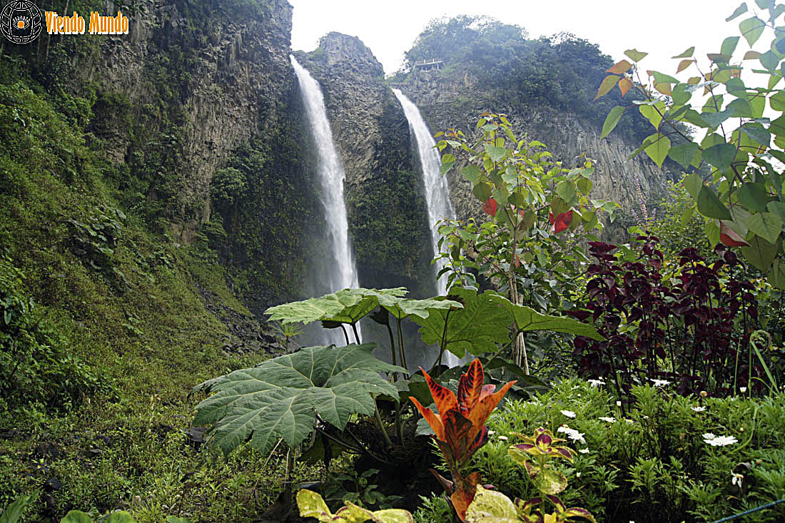 CATARATAS Y CASCADAS DE ECUADOR. Los mejores saltos de agua del país visitados por ViendoMundo CATARATAS Y CASCADAS DE ECUADOR. Los mejores saltos de agua del país visitados por ViendoMundo