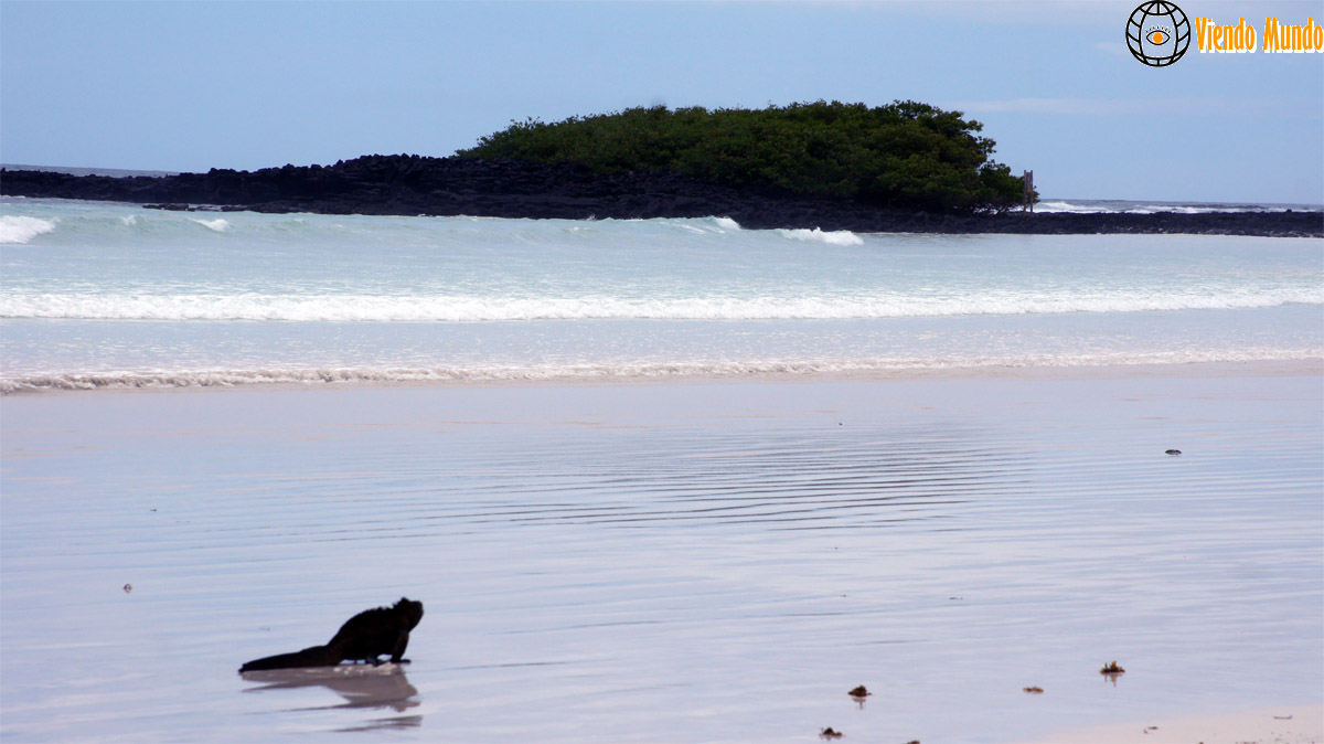 PLAYAS DE ECUADOR. Las mejores playas del país visitadas por ViendoMundo PLAYAS DE ECUADOR. Las mejores playas del país visitadas por ViendoMundo