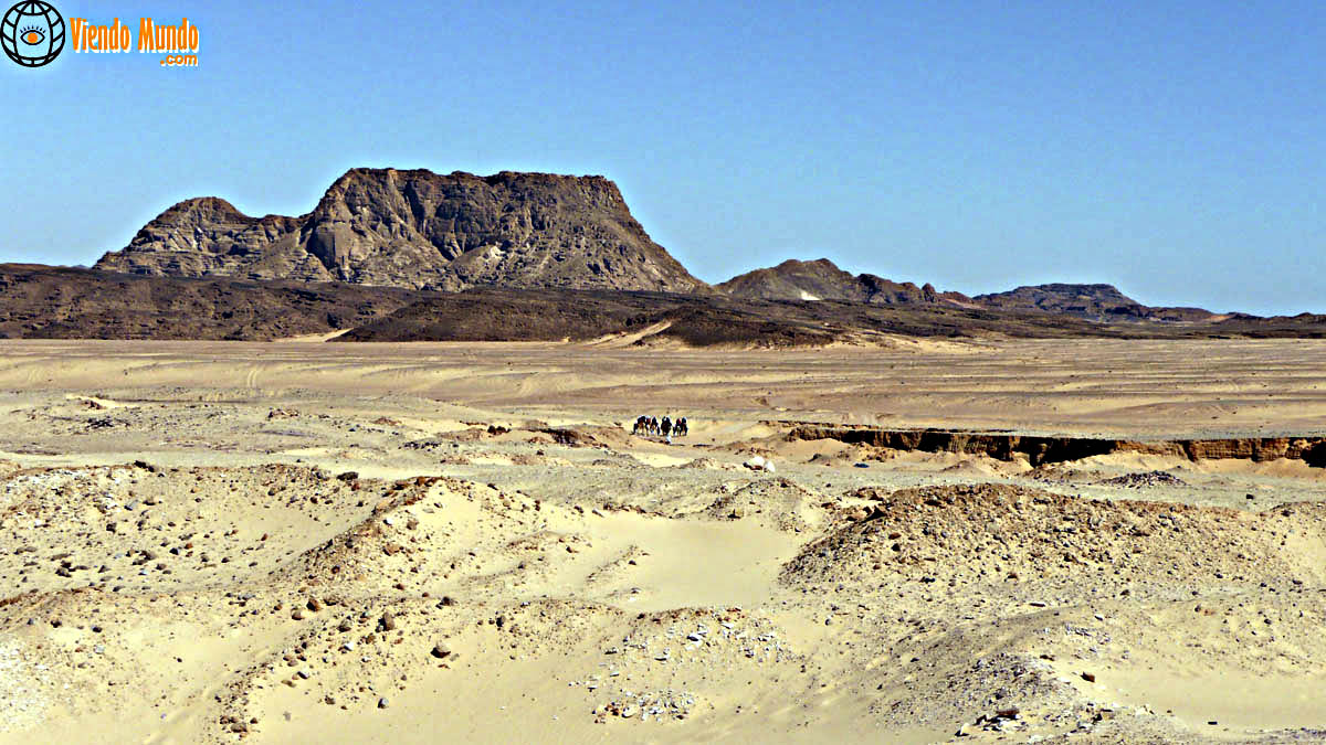 DESIERTOS DE EGIPTO. Los lugares más áridos del país visitados por ViendoMundo