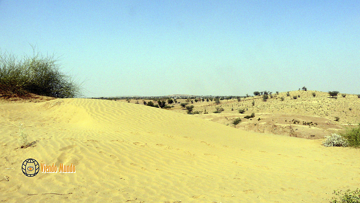 DESIERTOS DE INDIA. Los lugares más áridos del país visitados por ViendoMundo