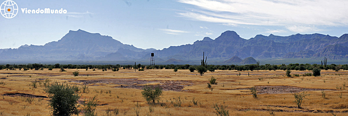 DESIERTOS DE MEXICO. Los lugares más áridos del país visitados por ViendoMundo DESIERTOS DE MEXICO. Los lugares más áridos del país visitados por ViendoMundo
