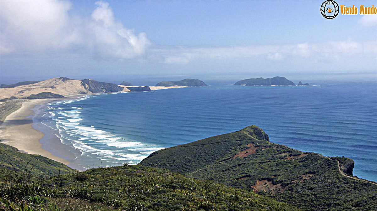 PLAYAS DE NUEVA ZELANDA. Las mejores playas del país visitadas por ViendoMundo PLAYAS DE NUEVA ZELANDA. Las mejores playas del país visitadas por ViendoMundo