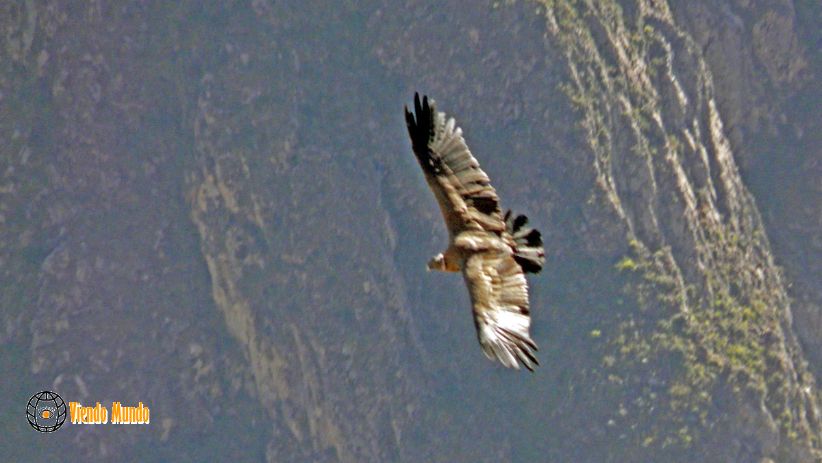 Maravillas de la naturaleza