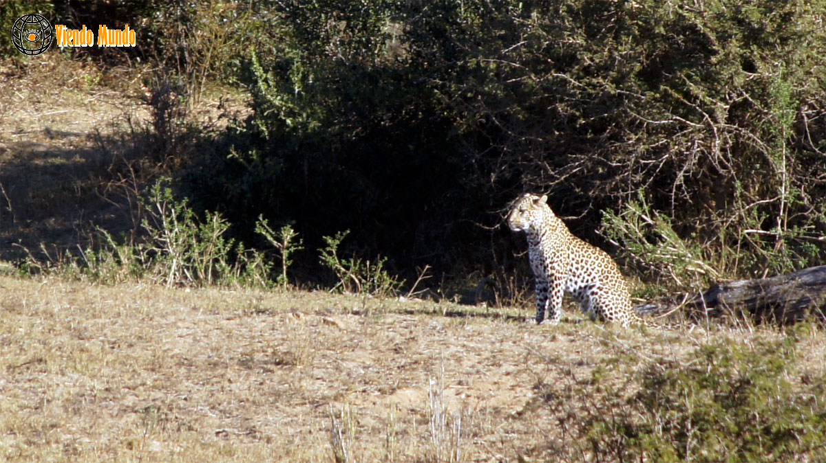 Maravillas de la naturaleza
